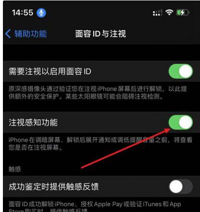 博望苹果14维修网点分享iPhone14注视感知功能有什么用 